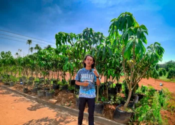 The Hanjawong Villas Ikut Meramaikan Penghijauan